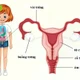 Chơi đùa té ngã, bé 12 tuổi tổn thương nghiêm trọng vùng kín