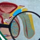 Bác sĩ mách cách phát hiện sớm dị tật cơ quan sinh dục nam