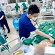  Nhiễm khuẩn huyết vì lạm dụng thuốc Corticoid kéo dài