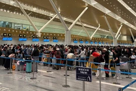Sân bay Tân Sơn Nhất chạm mốc kỷ lục về chuyến bay và hành khách