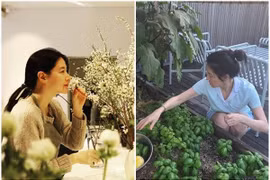 Cuộc sống sau ánh hào quang của "nàng Dae Jang Geum" Lee Young Ae