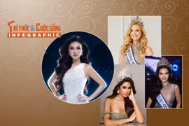 [INFOGRAPHIC] Phương Linh cùng nhiều mỹ nhân Miss Cosmo 2025 gây chú ý