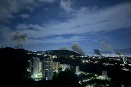 Đại sự quán Việt Nam tại Venezuela triển khai biện pháp bảo đảm an toàn cho công dân