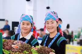 Khởi nghiệp từ chiếc điện thoại cũ, Vừ Thị Xia - Vừ Chứ tạo nguồn thu ổn định