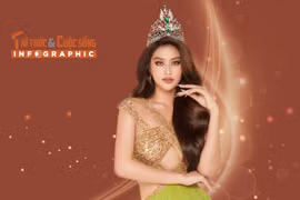 [INFOGRAPHIC] Cuộc sống của Đoàn Thiên Ân sau đăng quang Miss Grand Vietnam 