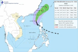 Bão số 14 Fung Wong mạnh cấp 12, giật cấp 15