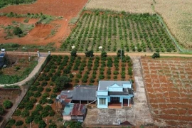 Chuyển đất vườn sang đất ở thuế cao, Bộ Tài chính lý giải