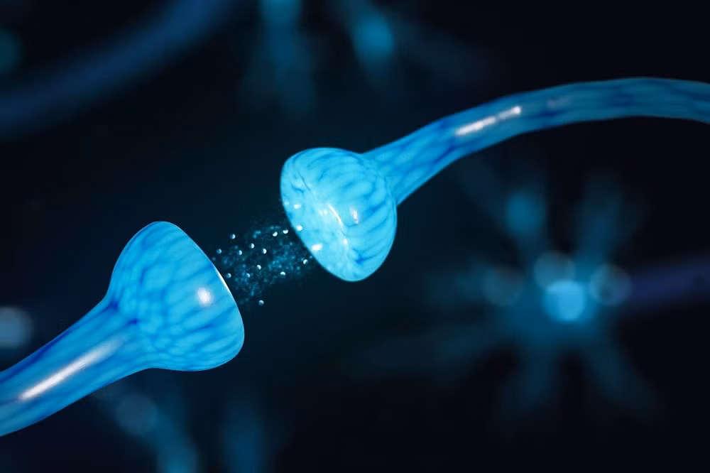 Kỹ thuật cryo-ET do Đại học Khoa học và Công nghệ Trung Quốc phát triển cho phép “đóng băng” hoạt động của tế bào thần kinh với độ chính xác chưa từng có.