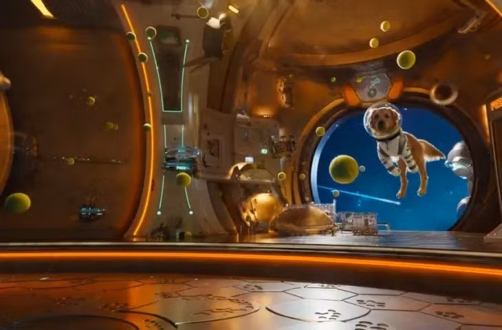 Ứng dụng còn tích hợp xác minh danh tính, cho phép dùng và chia sẻ khuôn mặt trong video.