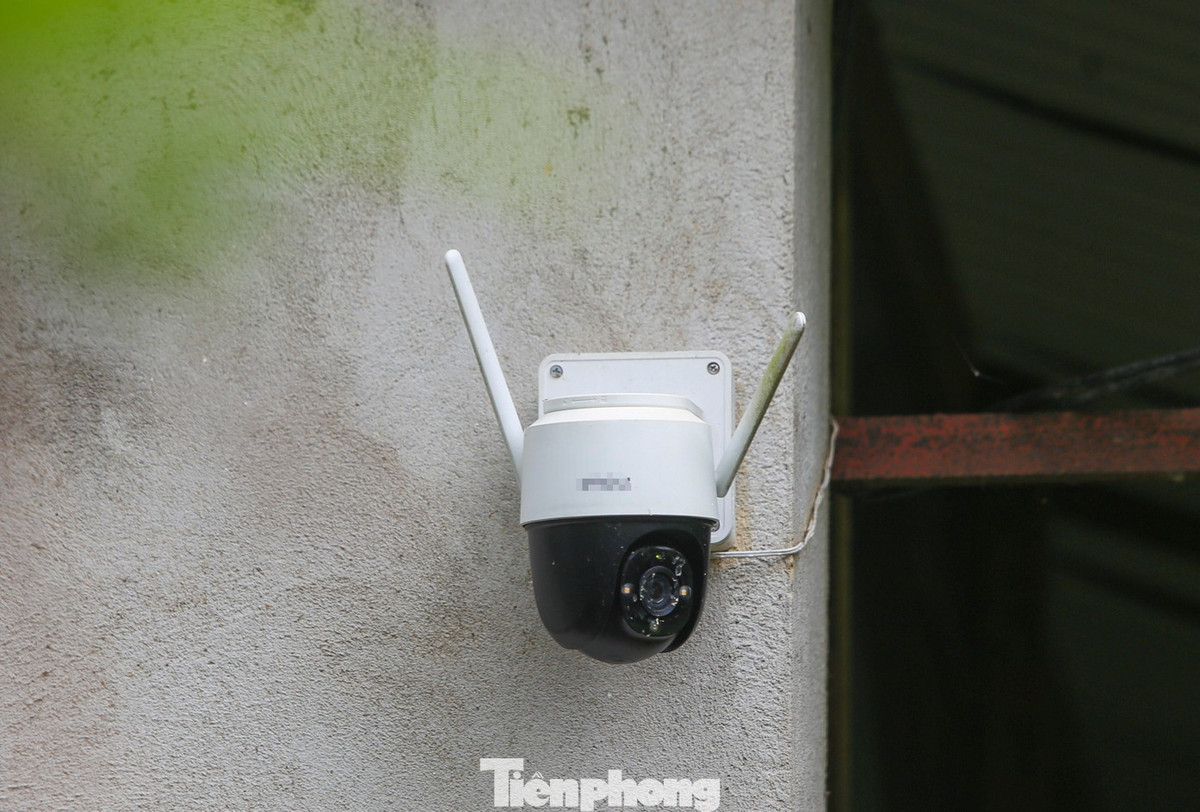 Quanh khu nuôi được lắp đặt camera an ninh để giám sát, theo dõi hoạt động các cá thể hổ.