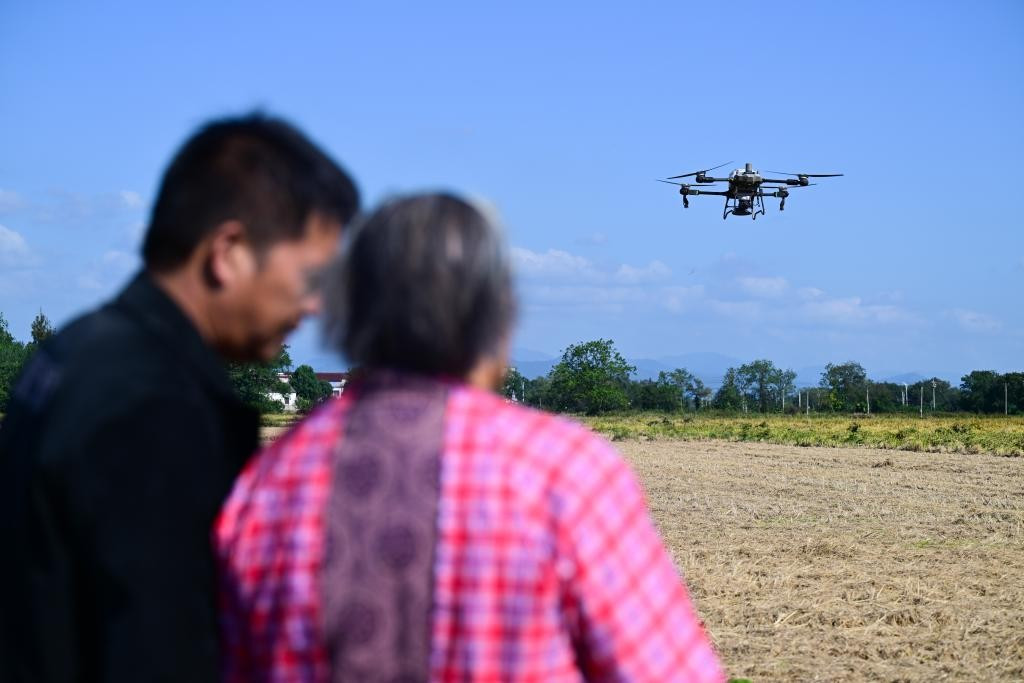 Tận dụng sức hút này, hai bà cháu mở livestream bán gạo, dầu ăn và nông sản do gia đình tự trồng.