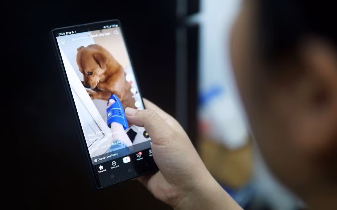 Ông tin rằng giới trẻ có thể thích ứng tốt với AI, nhưng lại dễ bị tổn thương trước những kích thích dopamine liên tục từ công nghệ tiêu dùng.