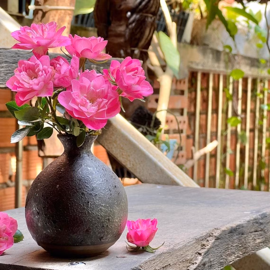 Cách trồng – chăm dễ nhớ, ai cũng làm được. Chọn chậu nhựa thoáng, đường kính tối thiểu 15 cm. Trộn đất dinh dưỡng và đất vườn theo tỉ lệ 8:2.