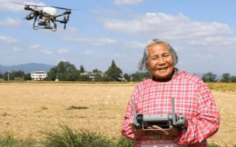Bà Dai Shuying, 82 tuổi tại tỉnh An Huy, Trung Quốc, đang trở thành hiện tượng mạng với hình ảnh điều khiển drone phun phân trên cánh đồng rộng hàng chục hecta.