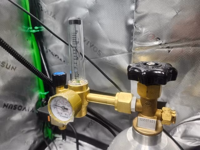 Thí nghiệm cũng bộc lộ điểm yếu khi AI không phát hiện được rễ bị bó chặt do hạn chế thị giác từ camera.