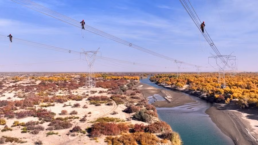 Nhóm thi công còn phủ lưới cỏ chống cát bay dọc tuyến, hỗ trợ kiểm soát sa mạc hóa bền vững theo mô hình xanh hóa.