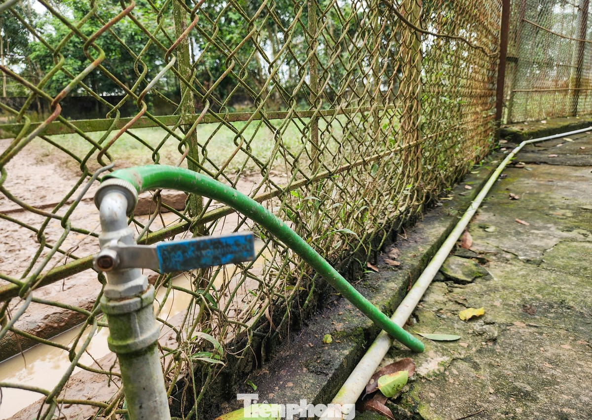 Hệ thống ống nước cũng được lắp đặt quanh khu nuôi.