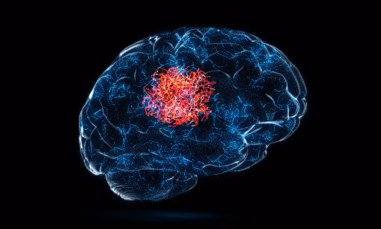 Ứng dụng tiềm năng trải rộng từ phân tích y tế, pháp lý đến nghiên cứu khoa học và giải trình tự DNA.