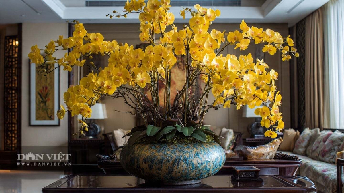 3. Lan hồ điệp – “Phương tiện giao tiếp xã hội” của phòng khách: Lan hồ điệp được mệnh danh là “nữ hoàng của các loài lan”, gần như không thể thiếu trong những ngôi nhà cao cấp. Hoa có dáng như cánh bướm, màu sắc trang nhã, đặt ở bàn cà phê hay kệ phòng khách đều giúp không gian trở nên sang trọng, tinh tế.