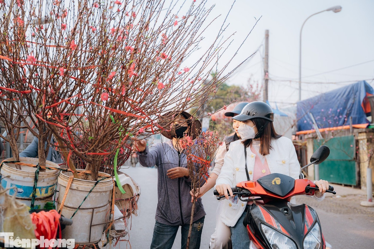 Miền Bắc hửng nắng những ngày giáp Tết.