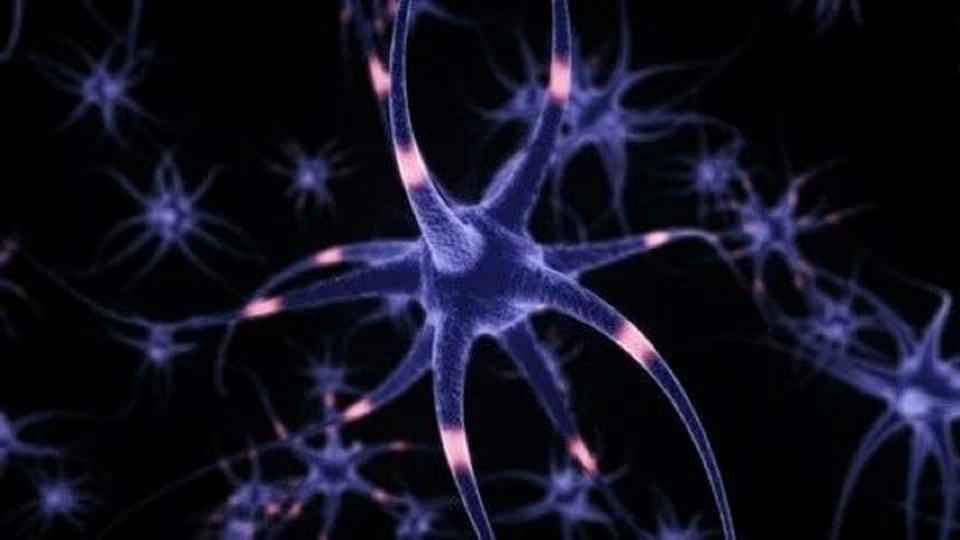 Công nghệ này cho phép robot không chỉ cảm nhận xúc giác mà còn “biết đau” và phản xạ tự vệ gần như ngay lập tức.