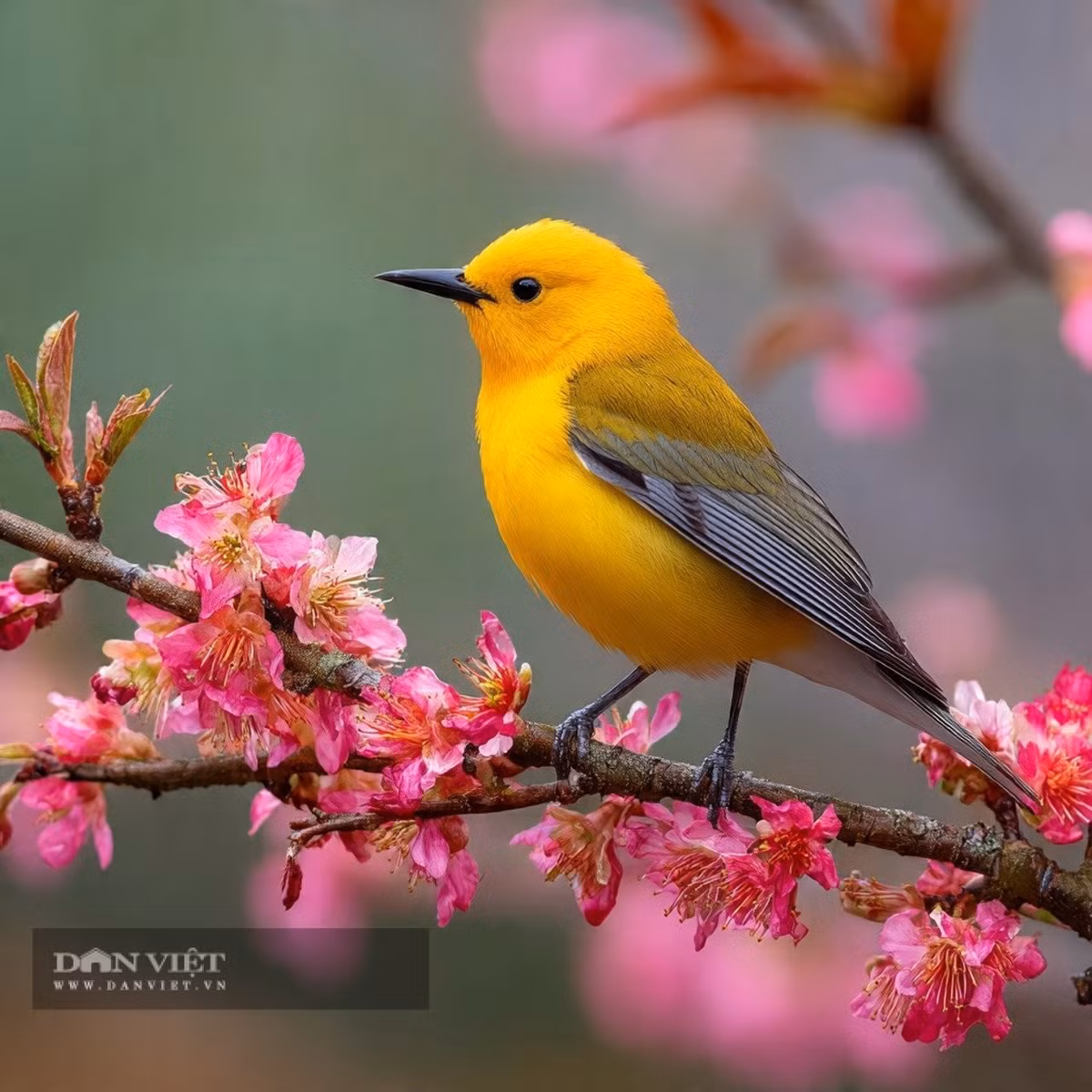 Phước lành này không phải là một món quà trời cho, nó là do người có ngày sinh Âm lịch kết thúc bằng số 1 tự mình nỗ lực. Ảnh minh họa