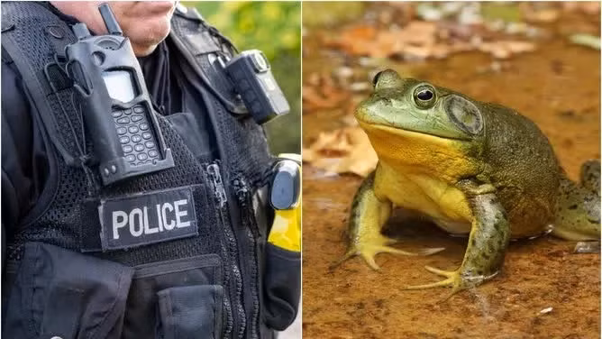 Sự việc xảy ra tại Sở cảnh sát Heber City, Utah, trong quá trình thử nghiệm phần mềm tự động viết báo cáo từ camera đeo thân.