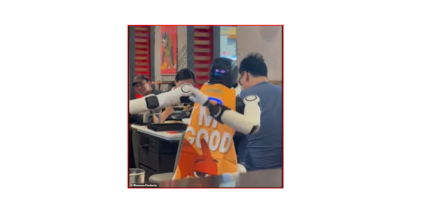 Nhiều người chỉ ra robot thiếu nút tắt khẩn cấp, khiến việc xử lý sự cố trở nên chậm trễ và nguy hiểm.