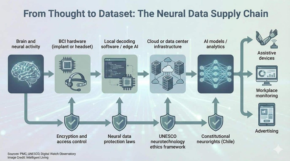 So với Neuralink của Elon Musk vẫn chủ yếu thử nghiệm trong môi trường ảo, công nghệ Trung Quốc đã bước vào đời sống thực tế.(Ảnh: Intelligent Living)