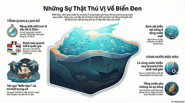 Biển Đen là một trong những bãi biển huyền bí nhất thế giới. Ảnh: QTM