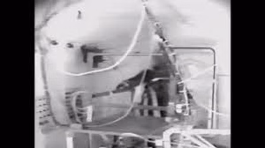 Một vài người sống sót, như kỹ thuật viên Jim LeBlanc của NASA, đều chỉ tiếp xúc trong vài giây và được cấp cứu tức thì.