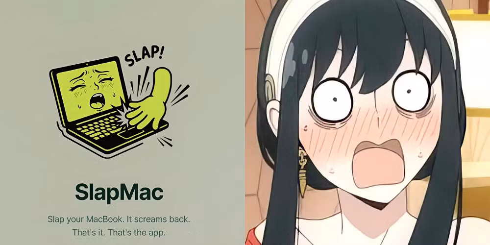 SlapMac hiện chỉ hỗ trợ macOS trên MacBook dùng chip Apple Silicon, tải về tại trang chủ slapmac.com.