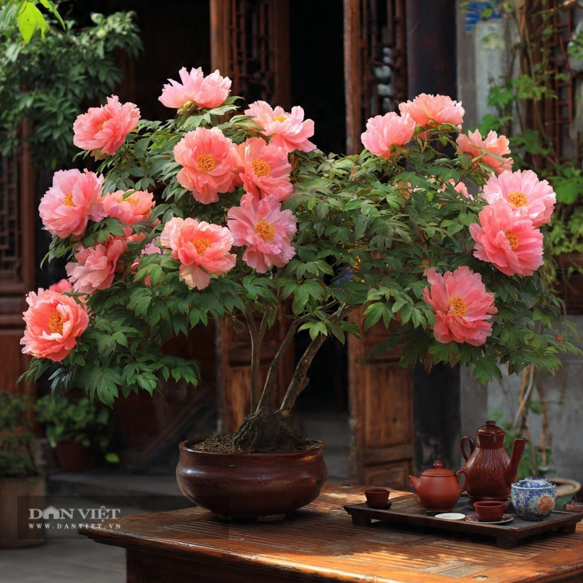 Cây mẫu đơn thường xuất hiện trong vườn hoàng gia, nơi thể hiện địa vị và gu thẩm mỹ của giới quý tộc. Trong phong thủy, mẫu đơn có ý nghĩa cát tường, mang lại may mắn cho thế hệ tương lai, vì vậy luôn được người xưa lẫn người hiện đại yêu thích.