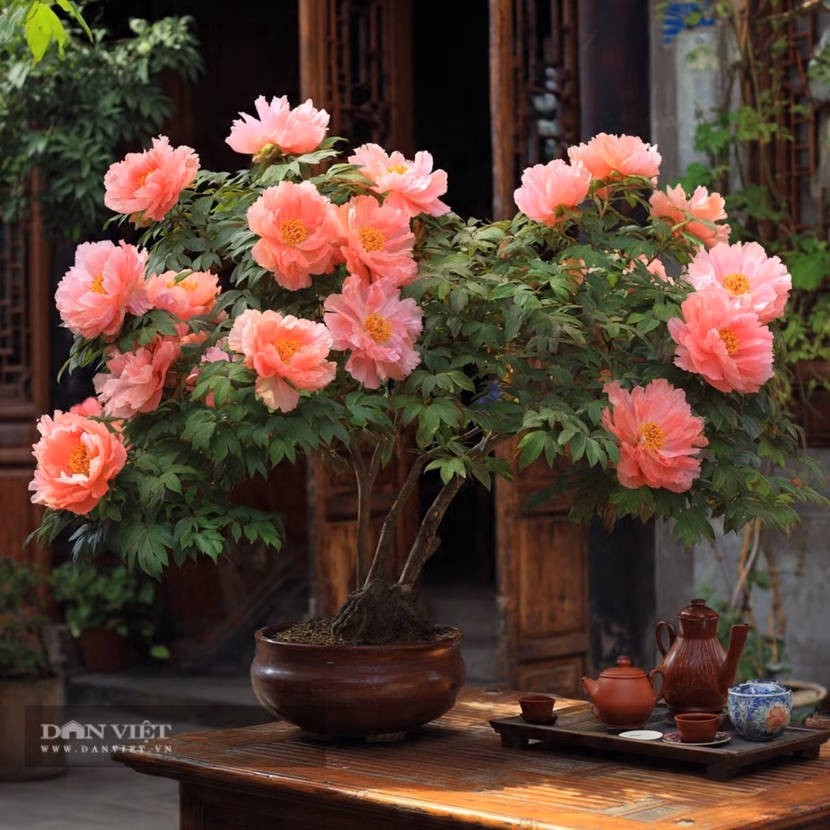 Cây mẫu đơn thường xuất hiện trong vườn hoàng gia, nơi thể hiện địa vị và gu thẩm mỹ của giới quý tộc. Trong phong thủy, mẫu đơn có ý nghĩa cát tường, mang lại may mắn cho thế hệ tương lai, vì vậy luôn được người xưa lẫn người hiện đại yêu thích.