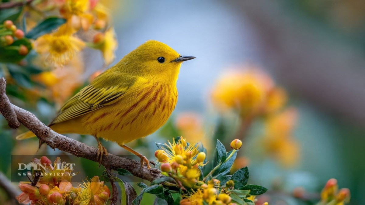 Những người có ngày sinh Âm lịch tận cùng bằng số 9 thường sở hữu khí chất điềm tĩnh tự nhiên. Ảnh minh họa