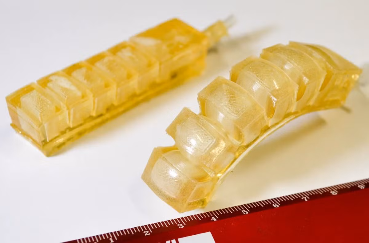 Robot hoạt động như robot khí nén, nhưng toàn bộ cấu trúc đều có thể nhai và nuốt trọn.