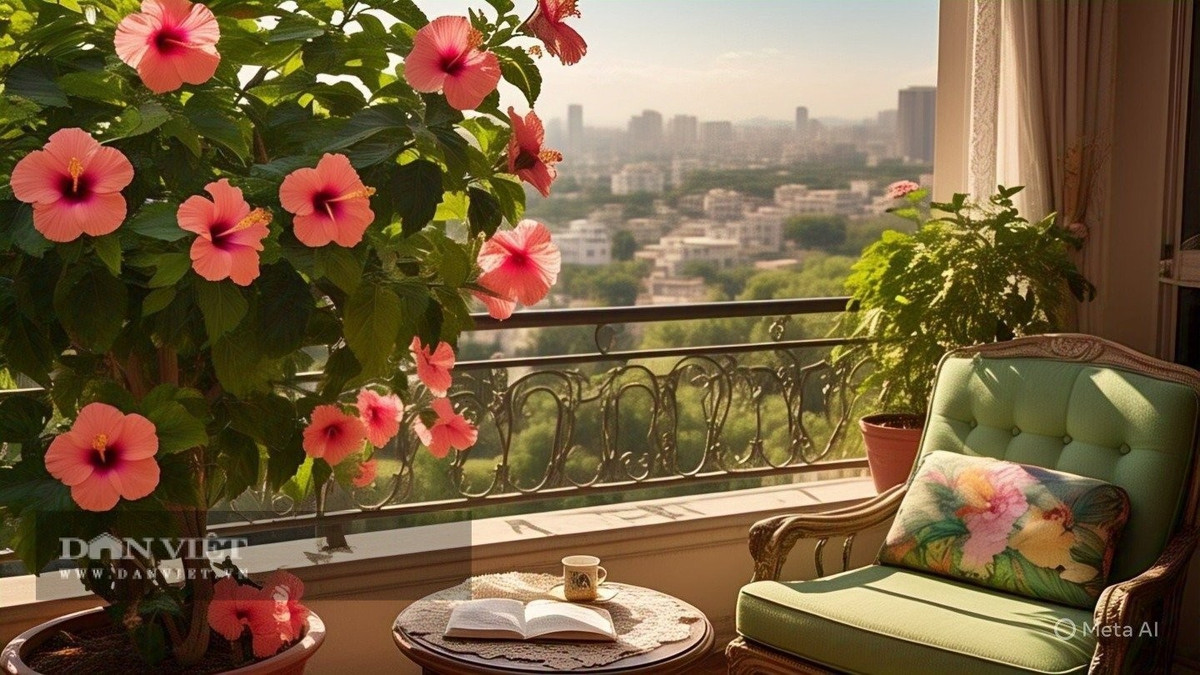 Tuy nhiên, sự nổi bật ấy lại trở thành "đèn gọi côn trùng". Vào mùa hè, dâm bụt dễ trở thành “nam châm” hút rệp, bọ trĩ, sâu ăn lá nếu không được kiểm tra và chăm sóc thường xuyên. Chỉ trong vài ngày, cây có thể trở thành ổ dịch nhỏ khiến bạn phát hoảng.