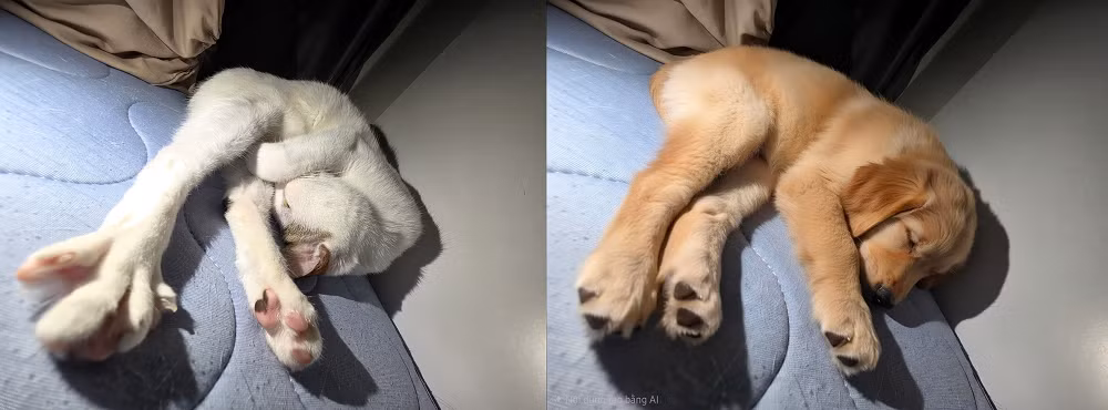 Điểm trừ lớn là độ phân giải ảnh sau chỉnh sửa chưa cao, dễ lộ chi tiết nhân tạo.