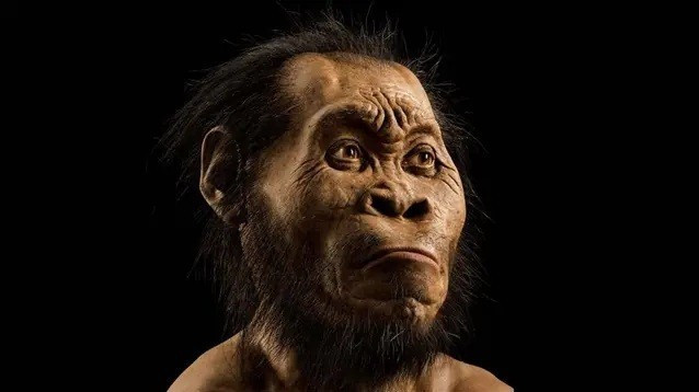 Việc phát hiện ra loài Homo naledi đã gây chấn động cộng đồng cổ sinh vật học.