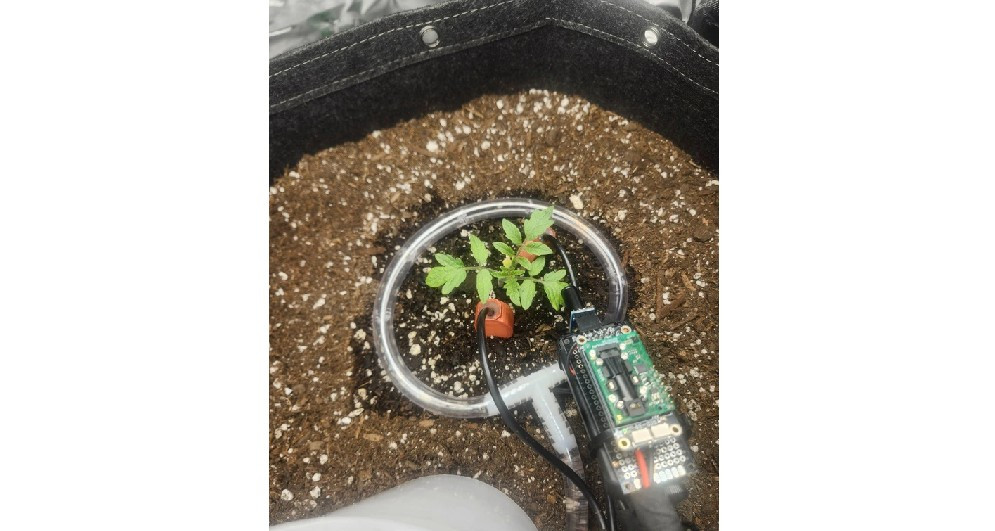 Ở giai đoạn đầu, Verdant xử lý tốt việc cây nảy mầm và phát triển lá thật, nhưng con người vẫn phải giám sát và can thiệp khi cần.