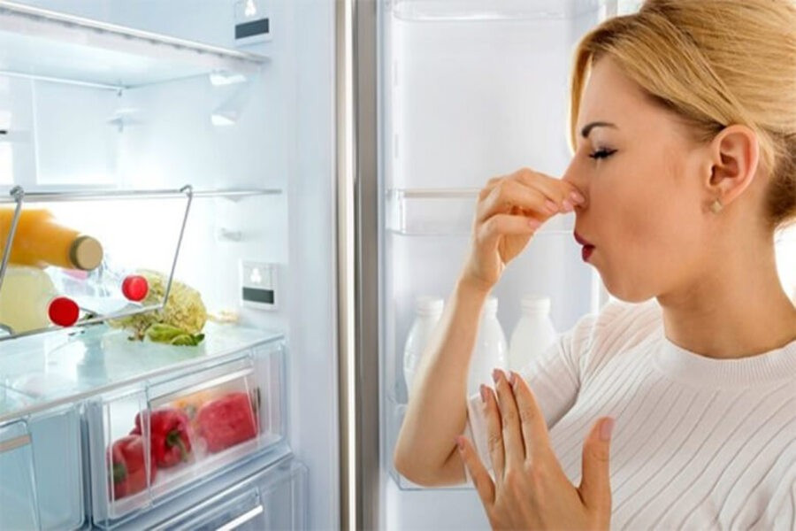 Khi ngắt điện mà không vệ sinh, bên trong tủ dễ sinh vi khuẩn, nấm mốc và mùi hôi khó chịu.
