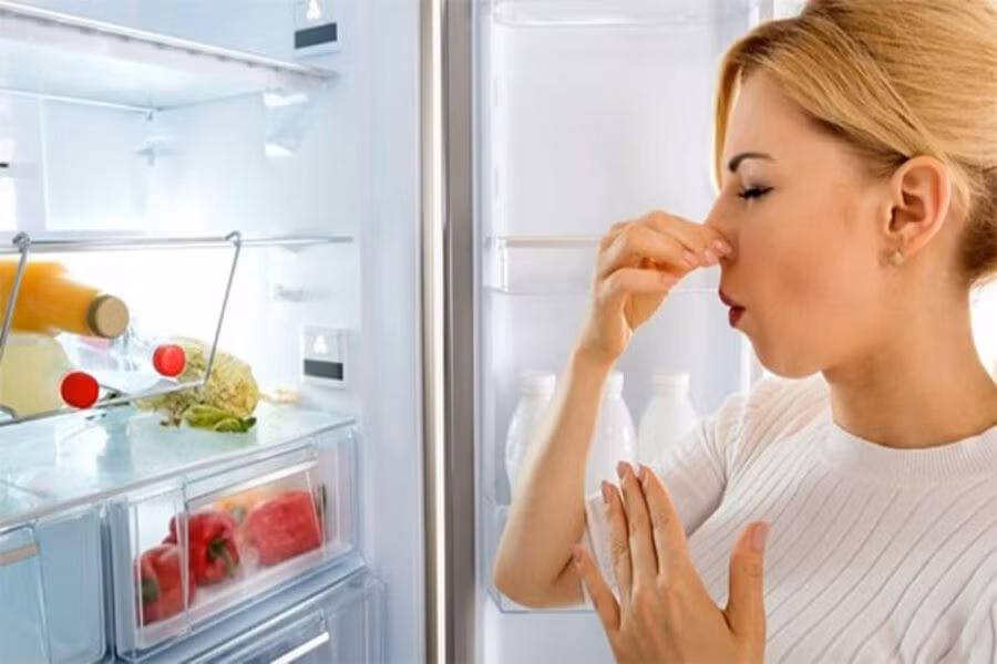 Khi ngắt điện mà không vệ sinh, bên trong tủ dễ sinh vi khuẩn, nấm mốc và mùi hôi khó chịu.
