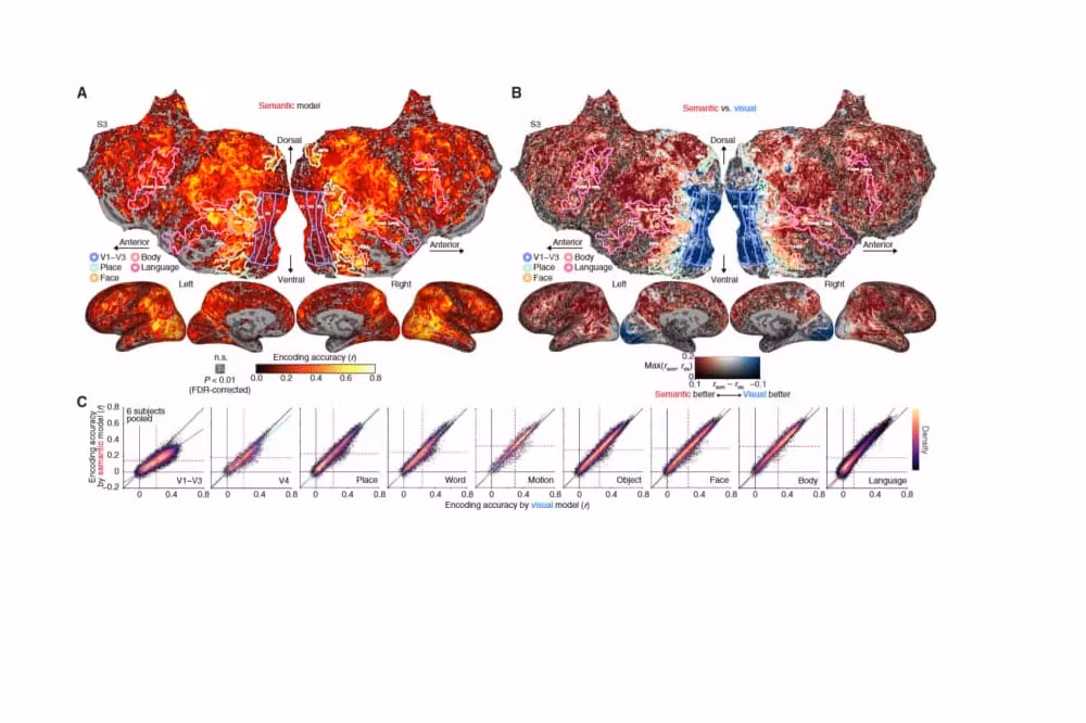 Kết quả cho thấy AI có thể tạo câu mô tả hoàn chỉnh thay vì chỉ nhận diện từ khóa đơn lẻ.