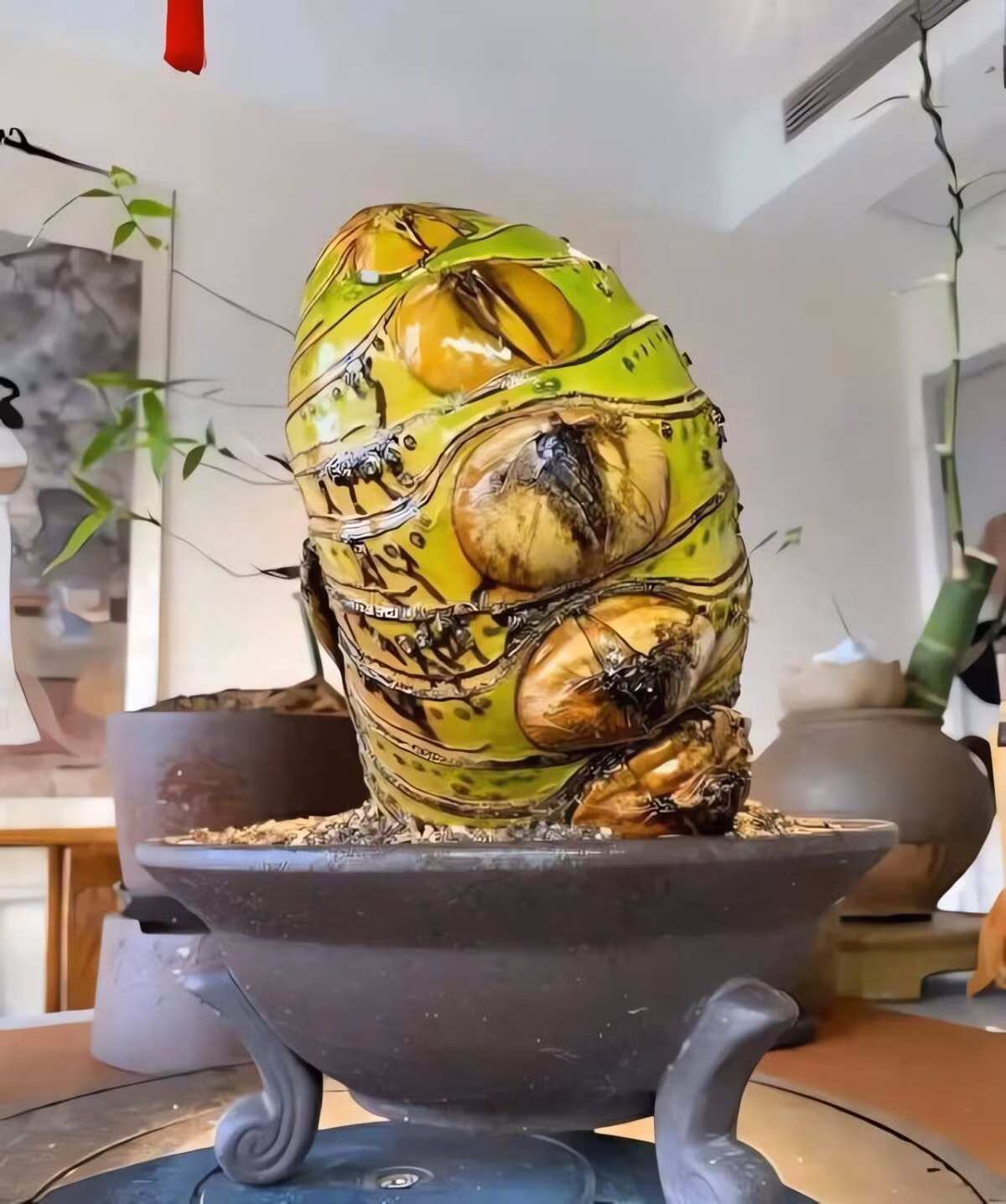 Trong phong thủy, tre tượng trưng cho tính cách thanh cao, khiêm nhường và sức sống mạnh mẽ. Các đốt tre biểu thị sự tiến bộ, phát triển không ngừng.