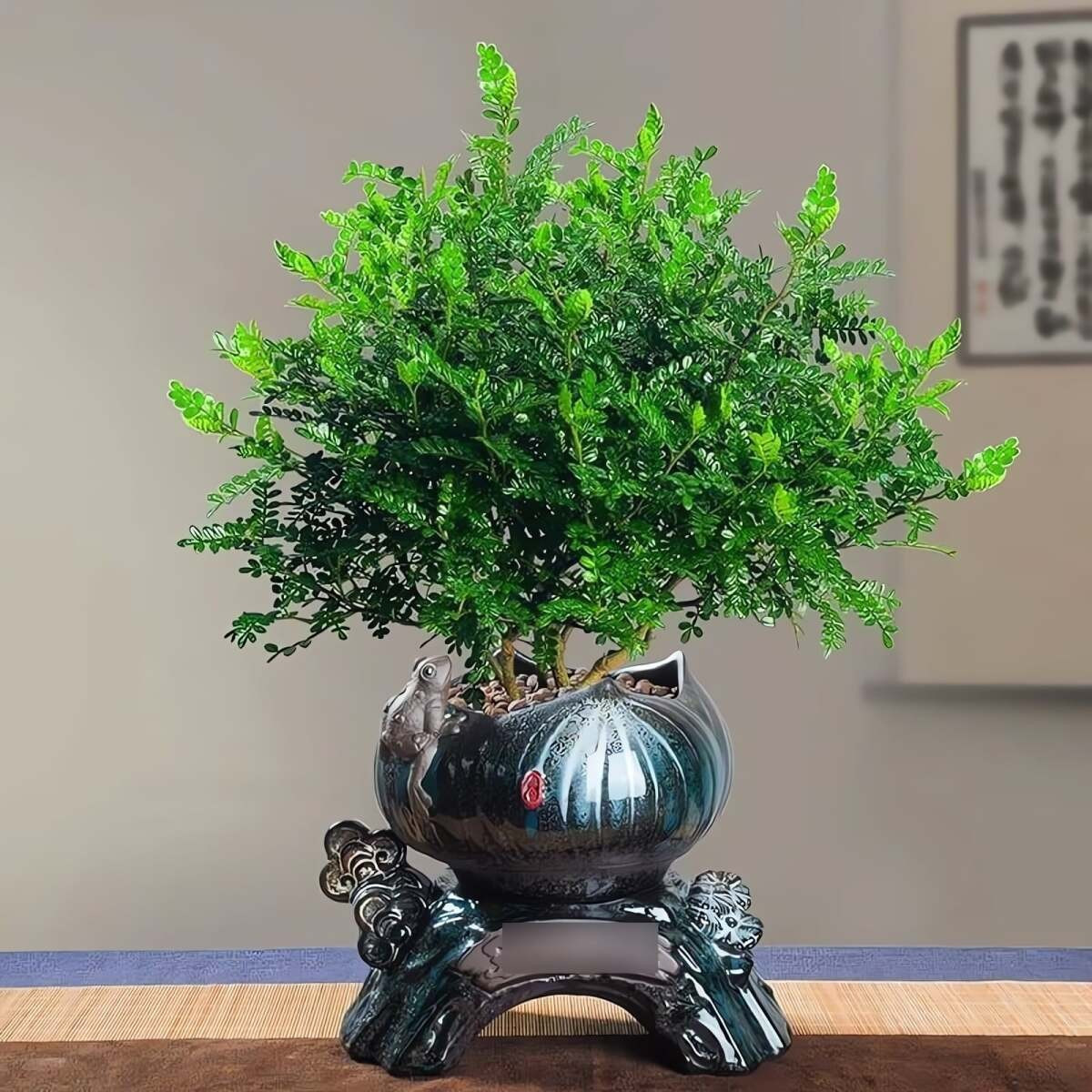 3. Cây cảnh Thanh hương mộc: Thanh hương mộc (Pistacia weinmannifolia) là cây cảnh tao nhã, thân gỗ nhỏ, có mùi thơm dễ chịu và giá trị thẩm mỹ cao, rất được ưa chuộng làm bonsai.