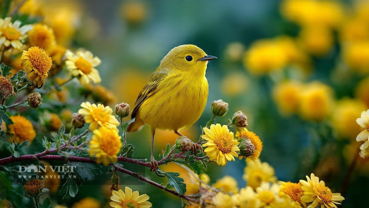 Những người có ngày sinh kết thúc bằng số 0 giống như &quot;báu vật vàng&quot; trong cuộc sống. Ảnh minh họa