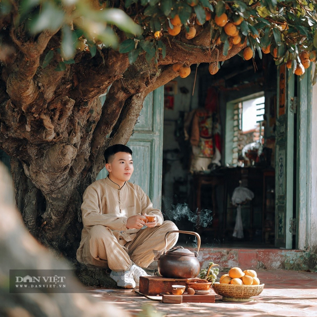 Ngoài hai cây táo tàu và liễu ra, người xưa cũng khuyên không nên chặt bỏ các cây lâu năm khác như bạch quả, mộc hương, cây du, cây hòe, cây hồng, cây lựu...