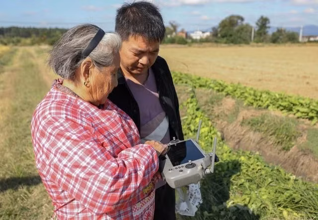 Thay vì nghỉ ngơi tuổi già, bà cùng con trai và cháu trai quản lý hơn 40 hecta đất nông nghiệp bằng công nghệ hiện đại.