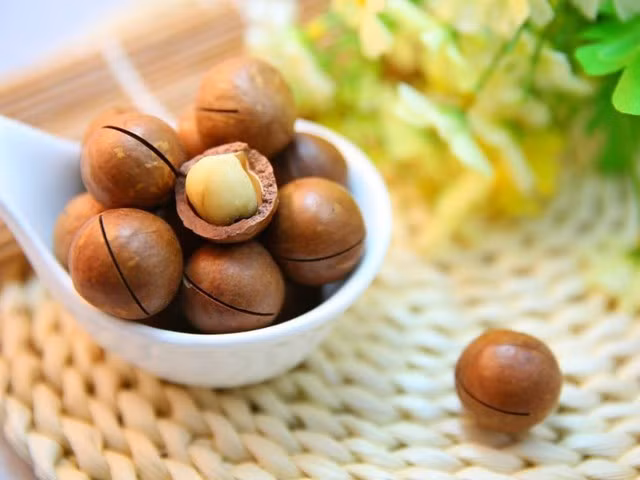 2. Món ăn thượng hạng ở các quốc gia phát triển. Hạt mắc ca được xếp vào nhóm thực phẩm thời thượng, giàu dưỡng chất, được ưa chuộng tại Mỹ, Nhật, Hàn Quốc, Đức… và không ngừng tăng giá trong nhiều năm.