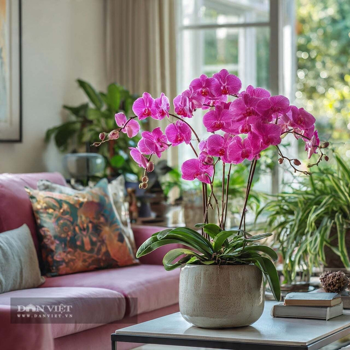 2. Lan hồ điệp: Lan hồ điệp là loại cây tạo độ ẩm tinh tế, thường được trồng trong rêu sphagnum không cần đất, giúp không gian luôn sạch sẽ, gọn gàng, phù hợp với phòng ngủ hoặc phòng làm việc.